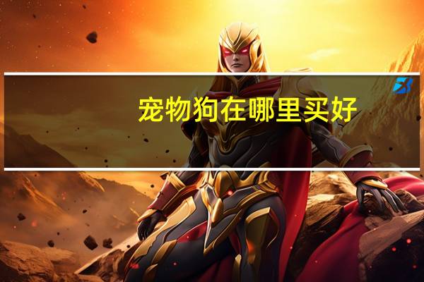 宠物狗在哪里买好