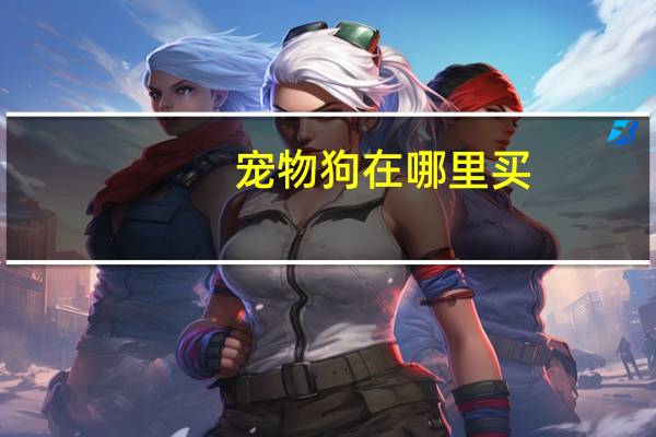 宠物狗在哪里买
