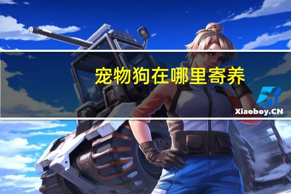 宠物狗在哪里寄养