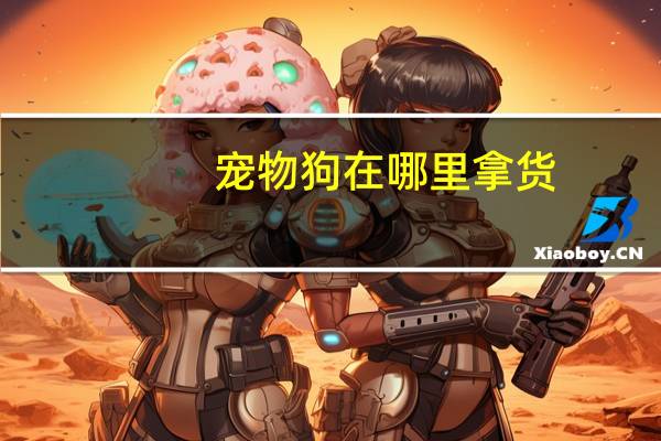 宠物狗在哪里拿货