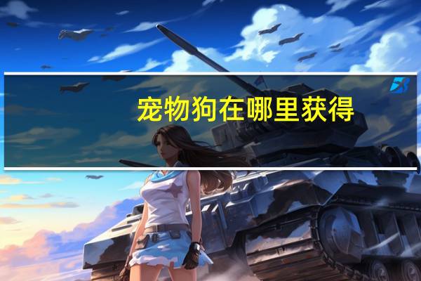 宠物狗在哪里获得