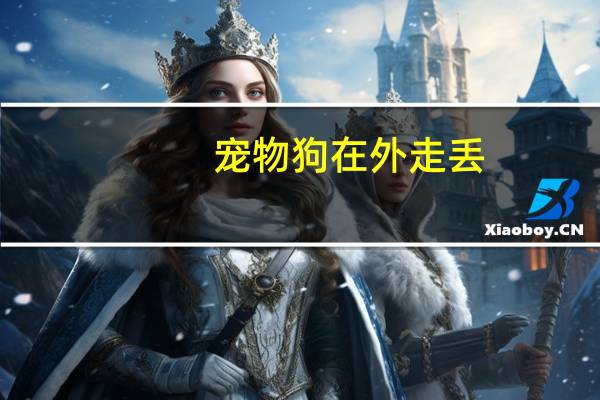 宠物狗在外走丢