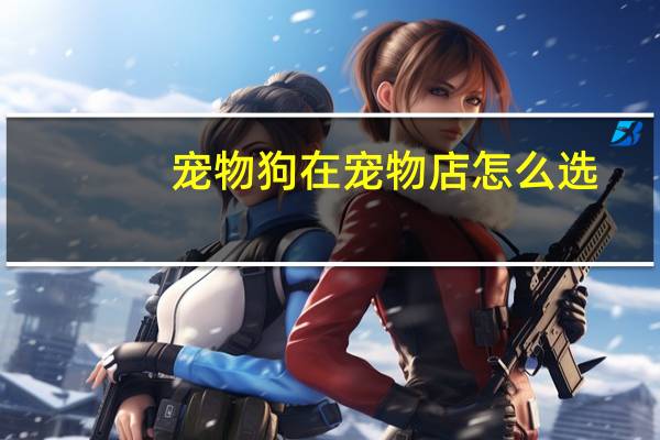 宠物狗在宠物店怎么选