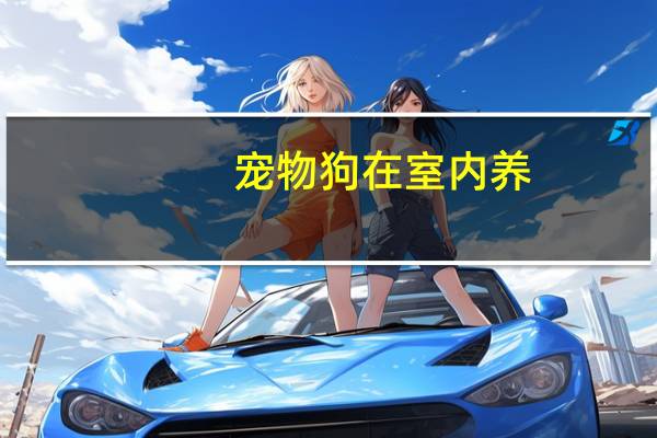 宠物狗在室内养