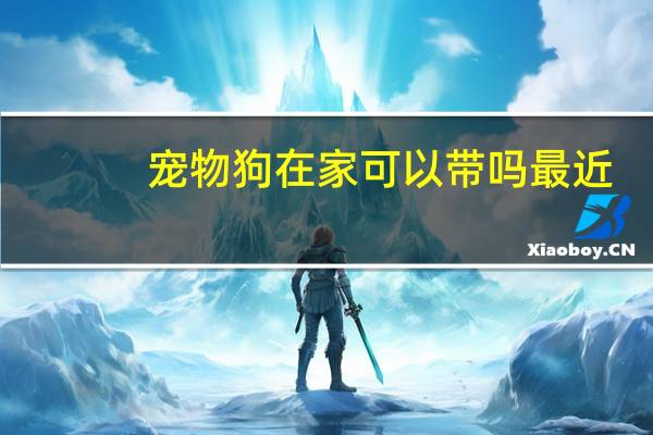 宠物狗在家可以带吗最近