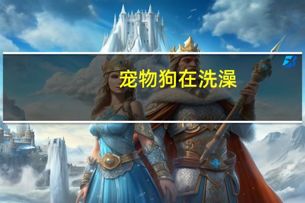 宠物狗在洗澡