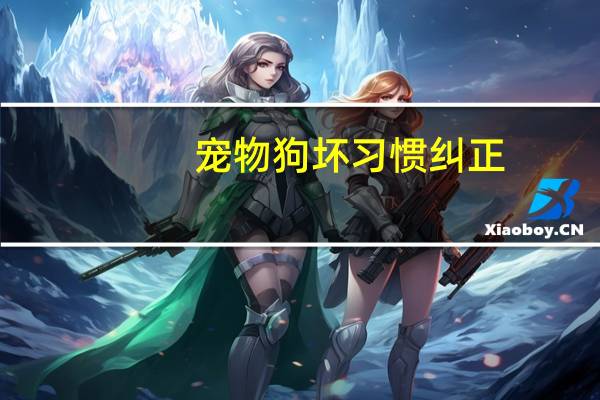 宠物狗坏习惯纠正