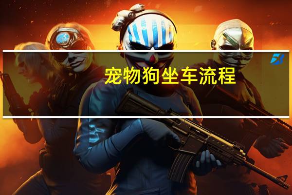 宠物狗坐车流程