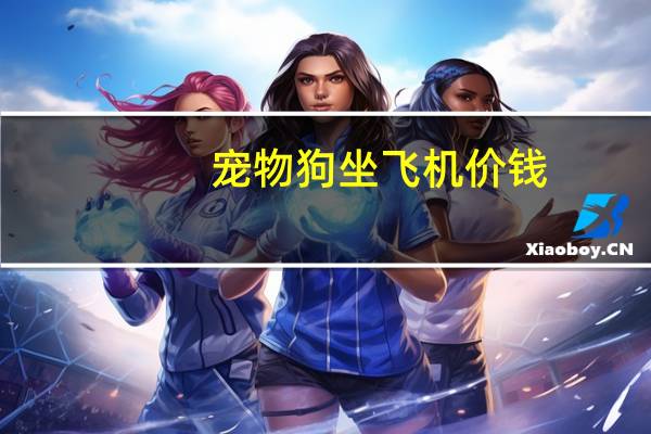 宠物狗坐飞机价钱