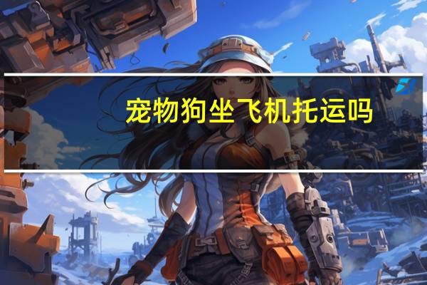宠物狗坐飞机托运吗