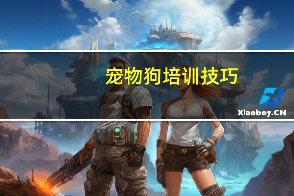 宠物狗培训技巧