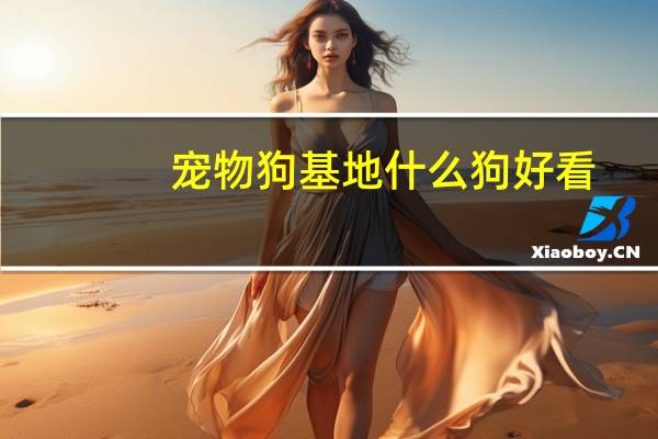 宠物狗基地什么狗好看