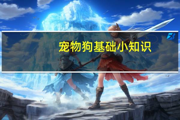 宠物狗基础小知识