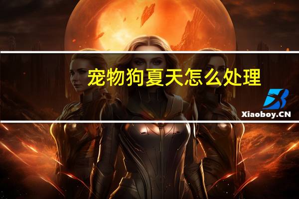 宠物狗夏天怎么处理