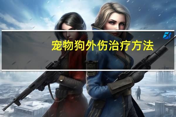 宠物狗外伤治疗方法