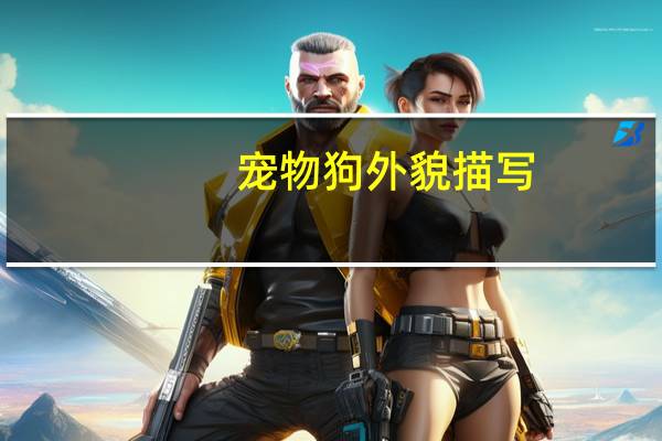 宠物狗外貌描写