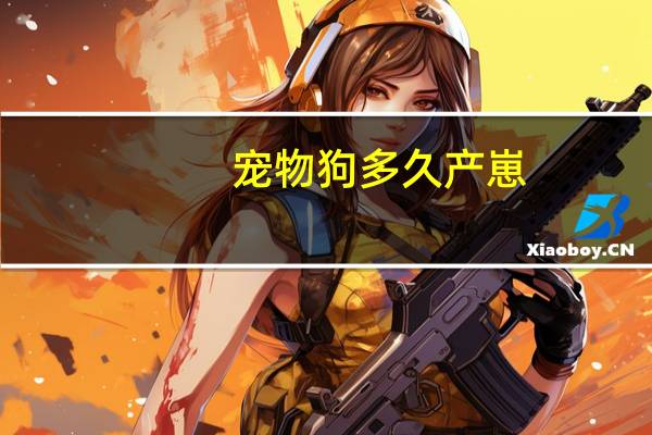 宠物狗多久产崽