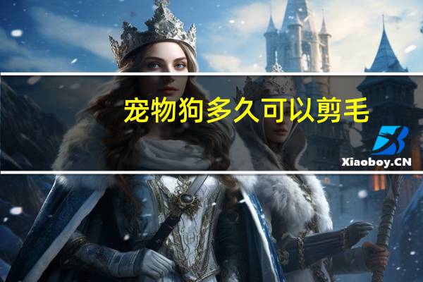 宠物狗多久可以剪毛