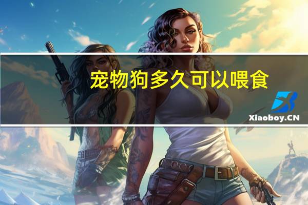 宠物狗多久可以喂食