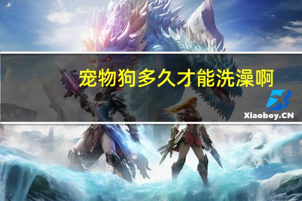 宠物狗多久才能洗澡啊