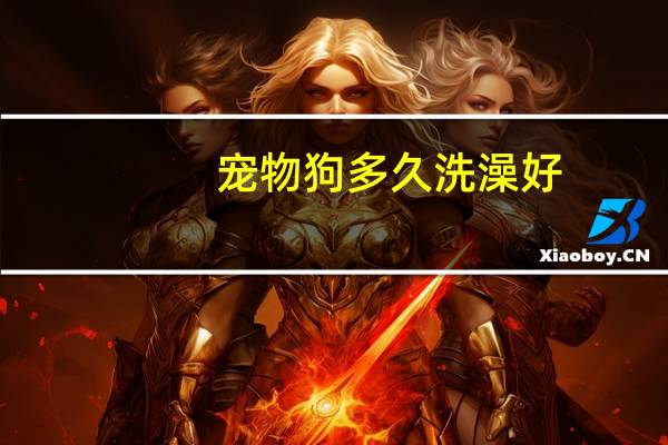 宠物狗多久洗澡好