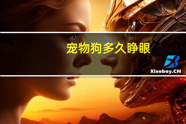 宠物狗多久睁眼