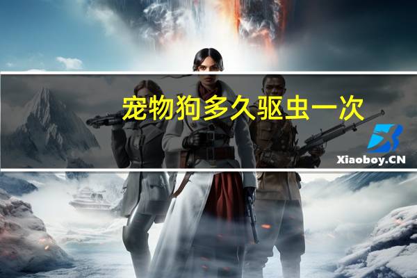 宠物狗多久驱虫一次