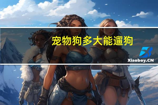 宠物狗多大能遛狗