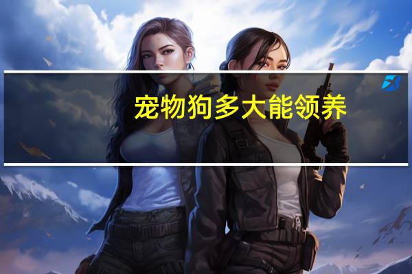 宠物狗多大能领养