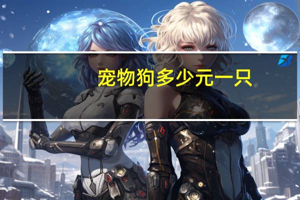 宠物狗多少元一只