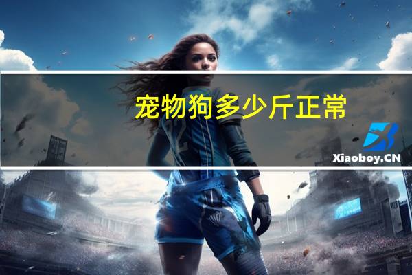宠物狗多少斤正常