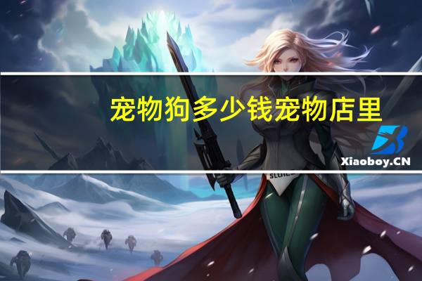 宠物狗多少钱宠物店里