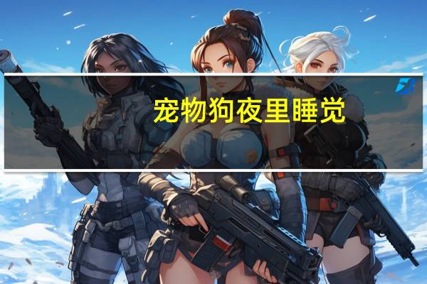 宠物狗夜里睡觉