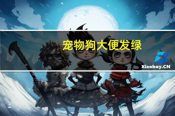 宠物狗大便发绿