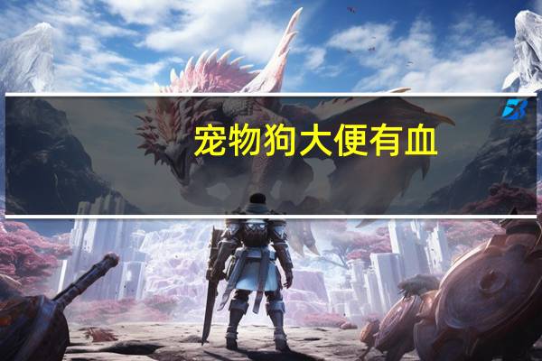 宠物狗大便有血