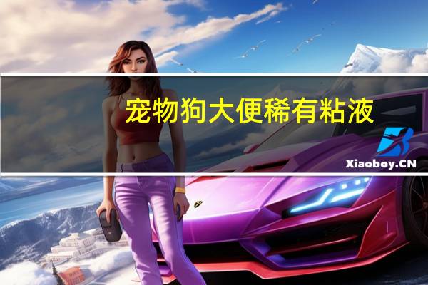 宠物狗大便稀有粘液