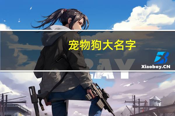 宠物狗大名字