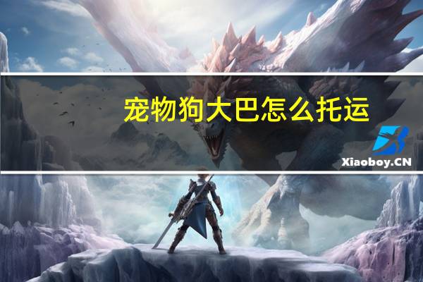 宠物狗大巴怎么托运