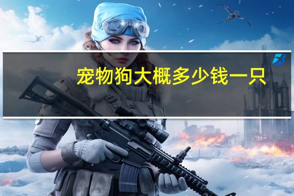 宠物狗大概多少钱一只