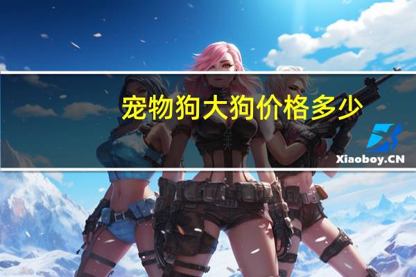 宠物狗大狗价格多少