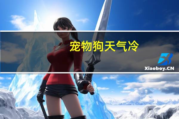 宠物狗天气冷