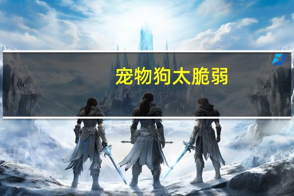 宠物狗太脆弱