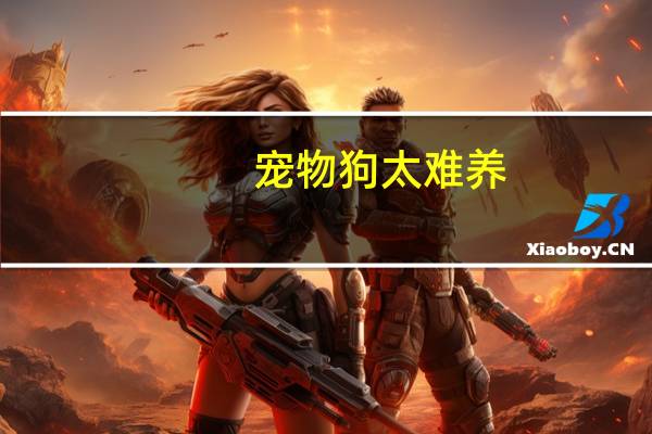 宠物狗太难养