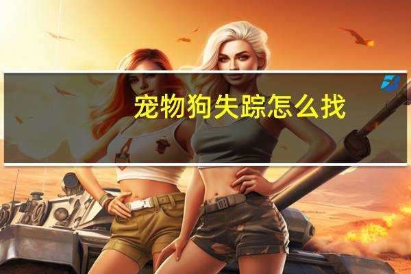 宠物狗失踪怎么找