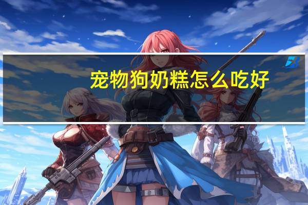 宠物狗奶糕怎么吃好
