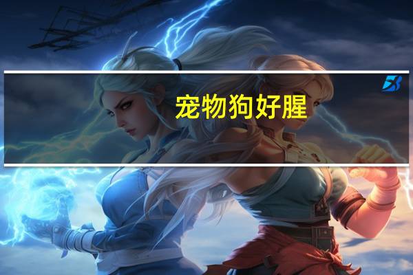宠物狗好腥