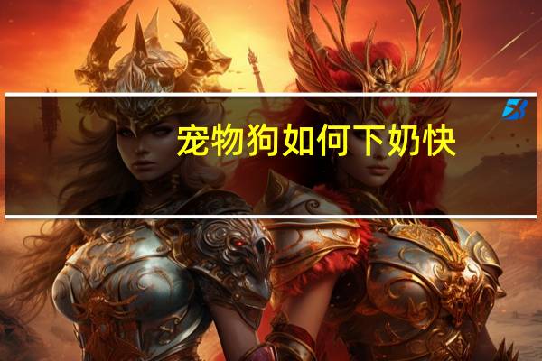 宠物狗如何下奶快