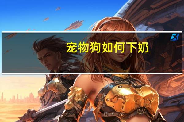 宠物狗如何下奶