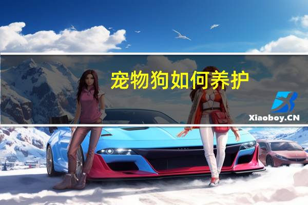 宠物狗如何养护