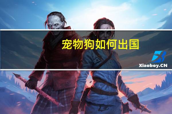 宠物狗如何出国